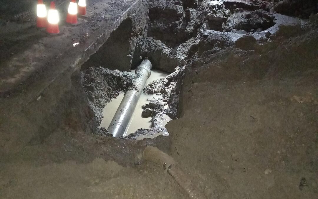 Lismore City Council Case Study