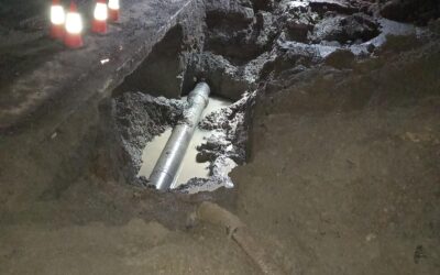 Lismore City Council Case Study